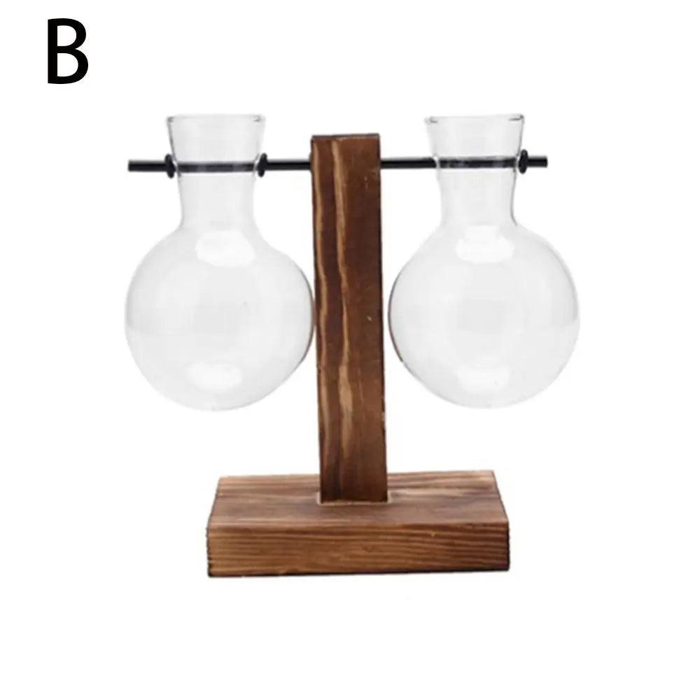 Modern Glass Vase with Wooden Stand – Hydroponic Tabletop Planter B Emma