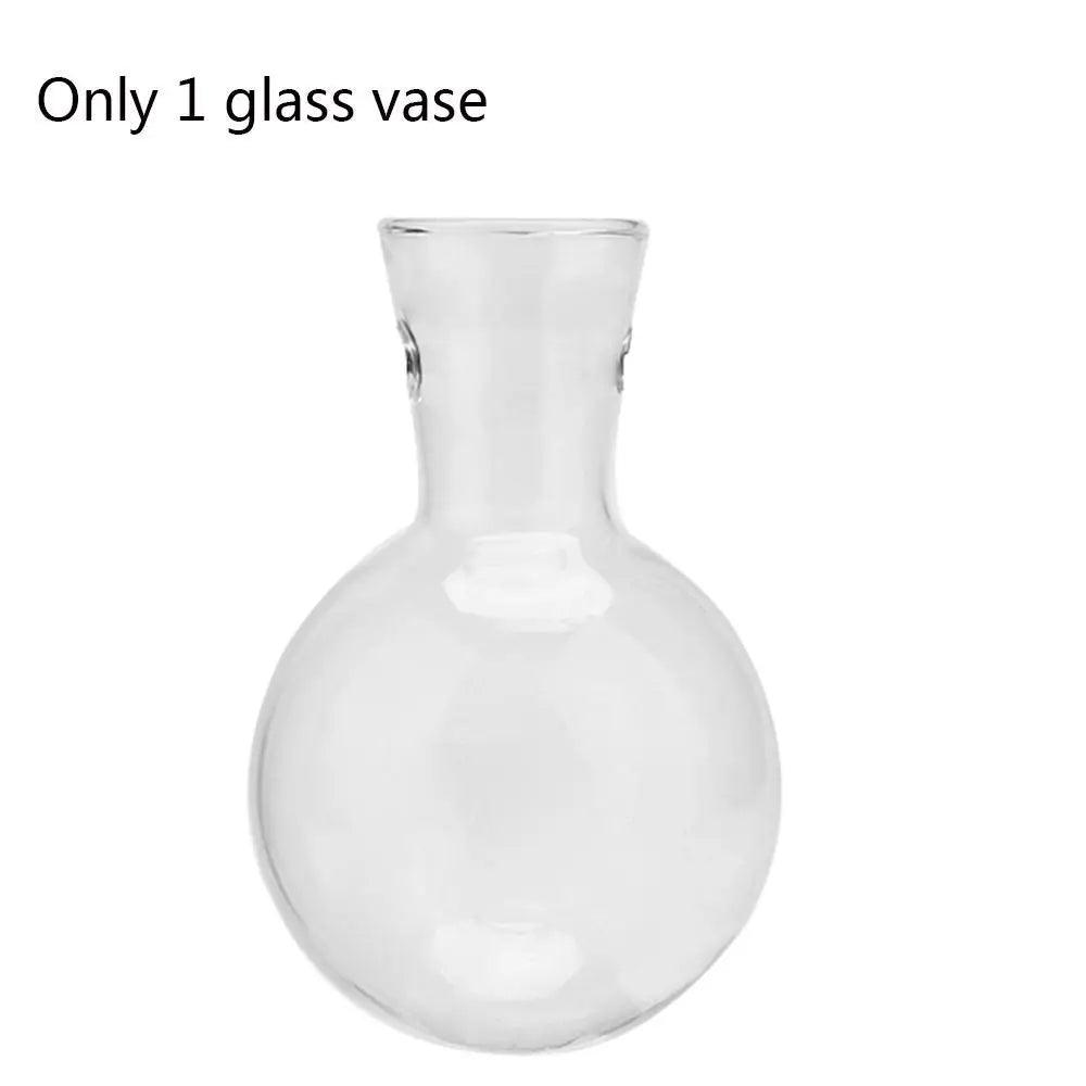 Modern Glass Vase with Wooden Stand – Hydroponic Tabletop Planter Only 1 glass vase Emma