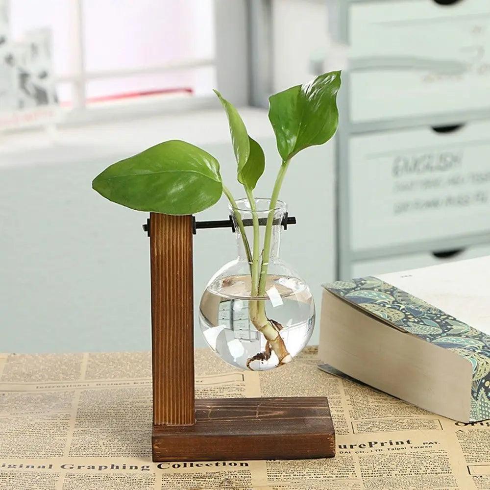 Modern Glass Vase with Wooden Stand – Hydroponic Tabletop Planter Emma