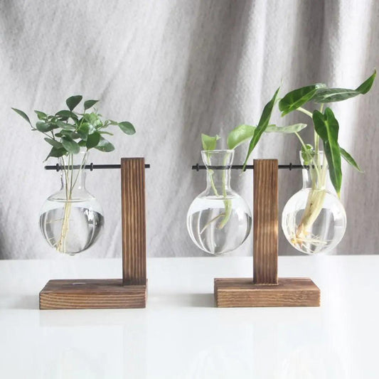 Modern Glass Vase with Wooden Stand – Hydroponic Tabletop Planter Emma