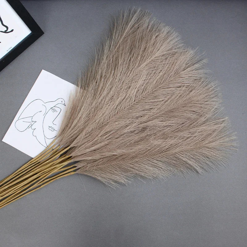 10pcs Flower Pampas Grass Plant Emma