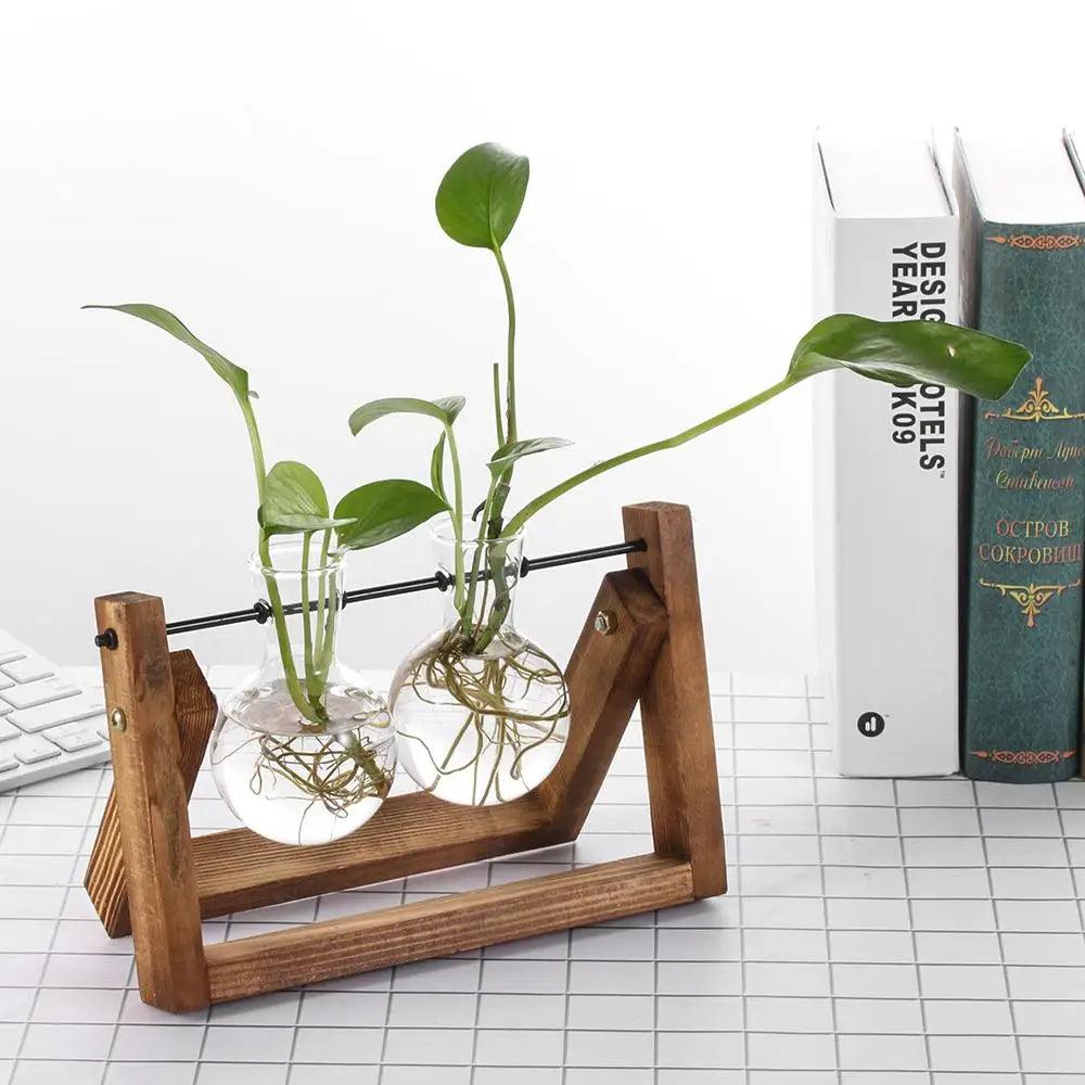 Modern Glass Vase with Wooden Stand – Hydroponic Tabletop Planter Emma