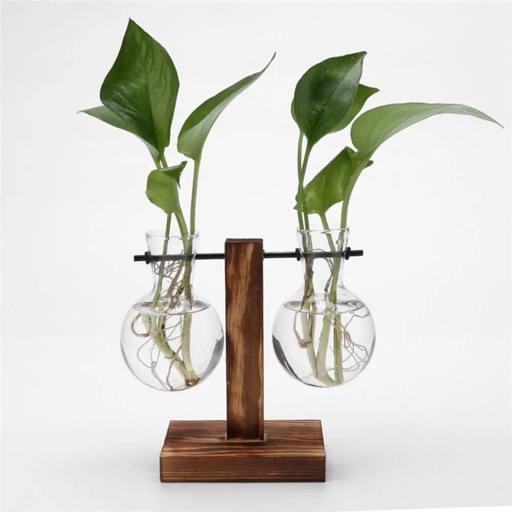 Modern Glass Vase with Wooden Stand – Hydroponic Tabletop Planter Emma