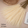 10pcs Flower Pampas Grass Plant yellow 10PCS Emma