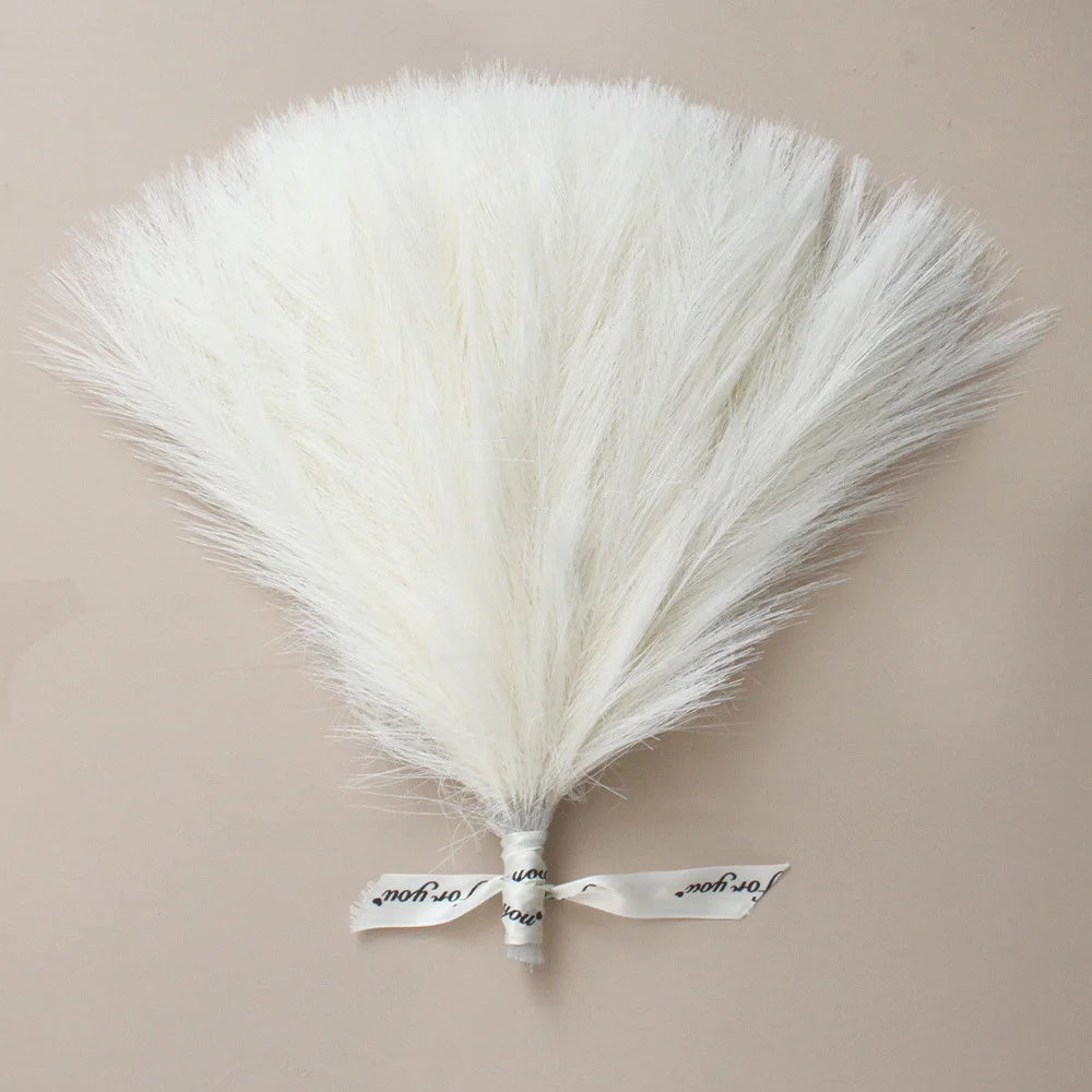 10/50pcs Pampas Grass Reed Plants Emma