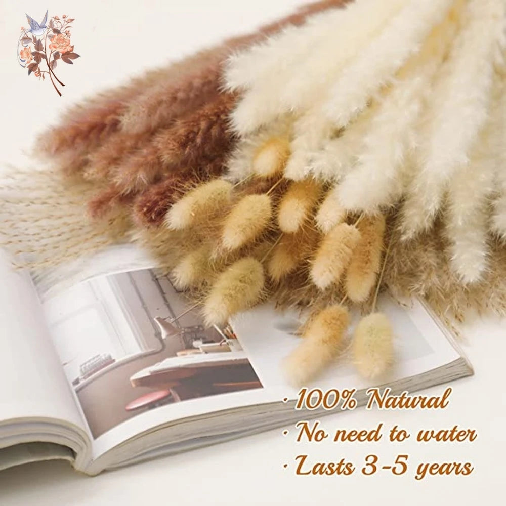 Natural Pampas Dried Flowers Bouquet Emma