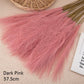 10pcs Flower Pampas Grass Plant dark pink 10PCS Emma
