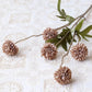 5 Heads Dandelion Flowers Bridal coffee Emma