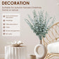 20pcs Eucalyptus Stems Leaves Green Emma