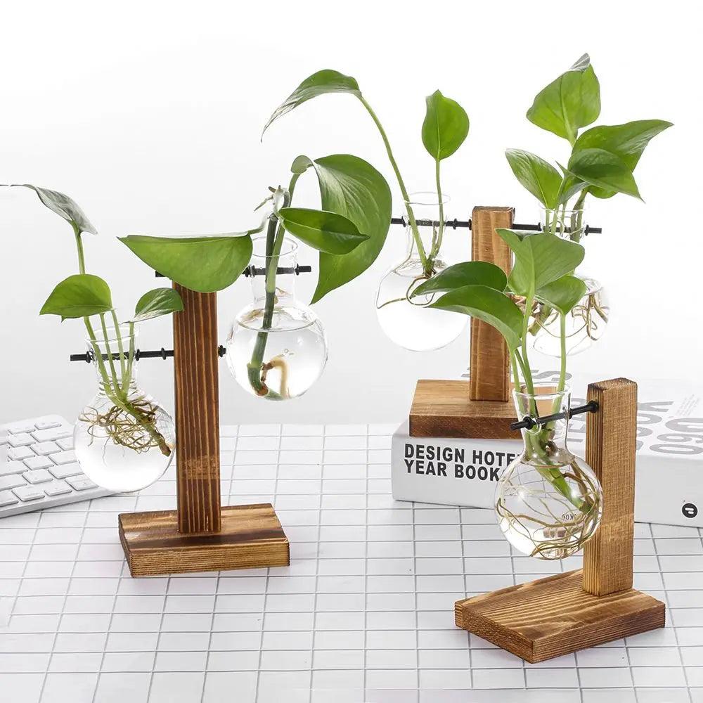 Vintage Glass Planter with Wooden Stand – Bulb Vase for Decor Emma