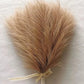 5/10/20pcs 42cm Flower Fluffy Pampas Light coffee Emma