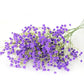 108 Head Flower Baby's Breath Emma