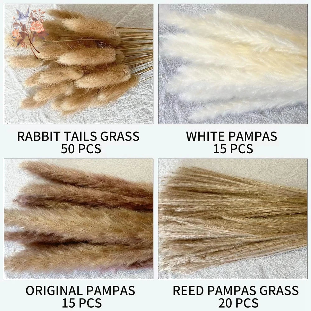 Natural Pampas Dried Flowers Bouquet Emma