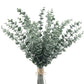 20pcs Eucalyptus Stems Leaves Green Emma