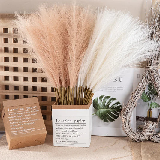 10pcs Flower Pampas Grass Plant Emma