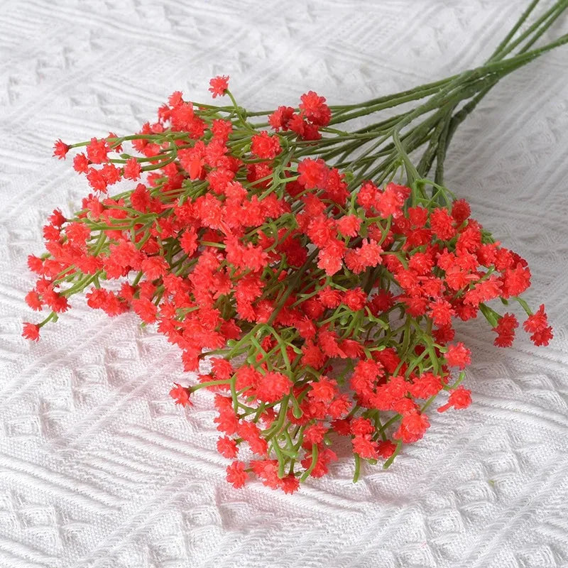 Gypsophila Flower Outdoor Garden Party Red Emma