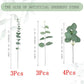 10/20/30pcs Mixed Eucalyptus Leaves Bulk Emma