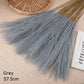 10pcs Flower Pampas Grass Plant Emma