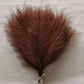 10/50pcs Pampas Grass Reed Plants color 2 Emma