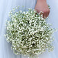 Gypsophila Flower Outdoor Garden Party Emma