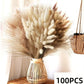 Natural Pampas Dried Flowers Bouquet C-100PCS Emma