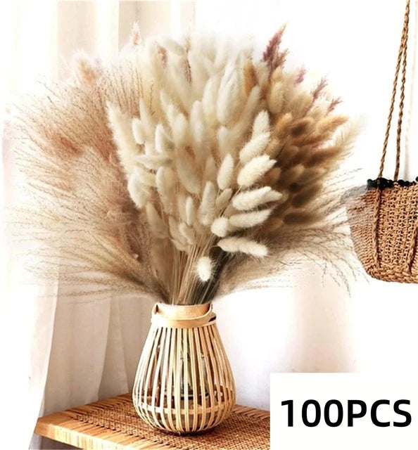 Natural Pampas Dried Flowers Bouquet C-100PCS Emma