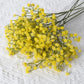 Gypsophila Flower Outdoor Garden Party Yellow Emma