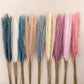 10pcs Flower Pampas Grass Plant Emma