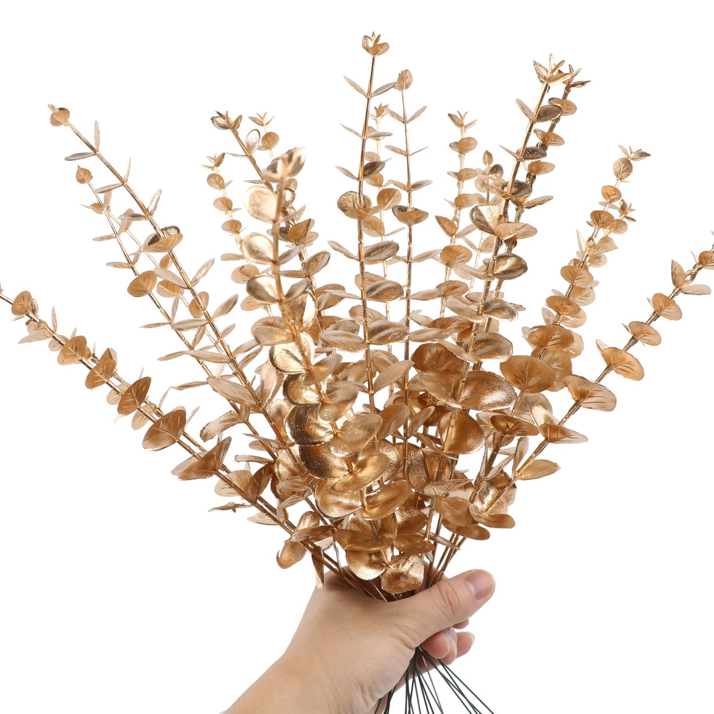 Yannew 12pcs Eucalyptus Stems Silver Emma