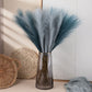 10pcs Flower Pampas Grass Plant Emma