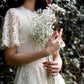 Gypsophila Flower Outdoor Garden Party Emma