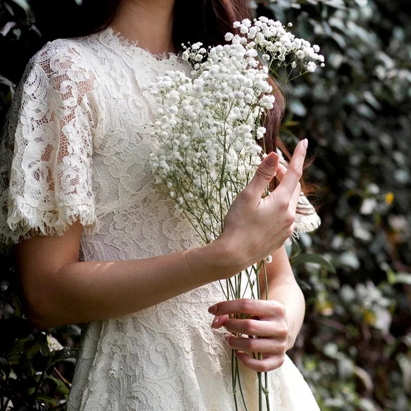 Gypsophila Flower Outdoor Garden Party Emma