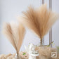 6pcs Pampas Grass Decor Flowers Emma