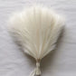 10/50pcs Pampas Grass Reed Plants color 4 Emma