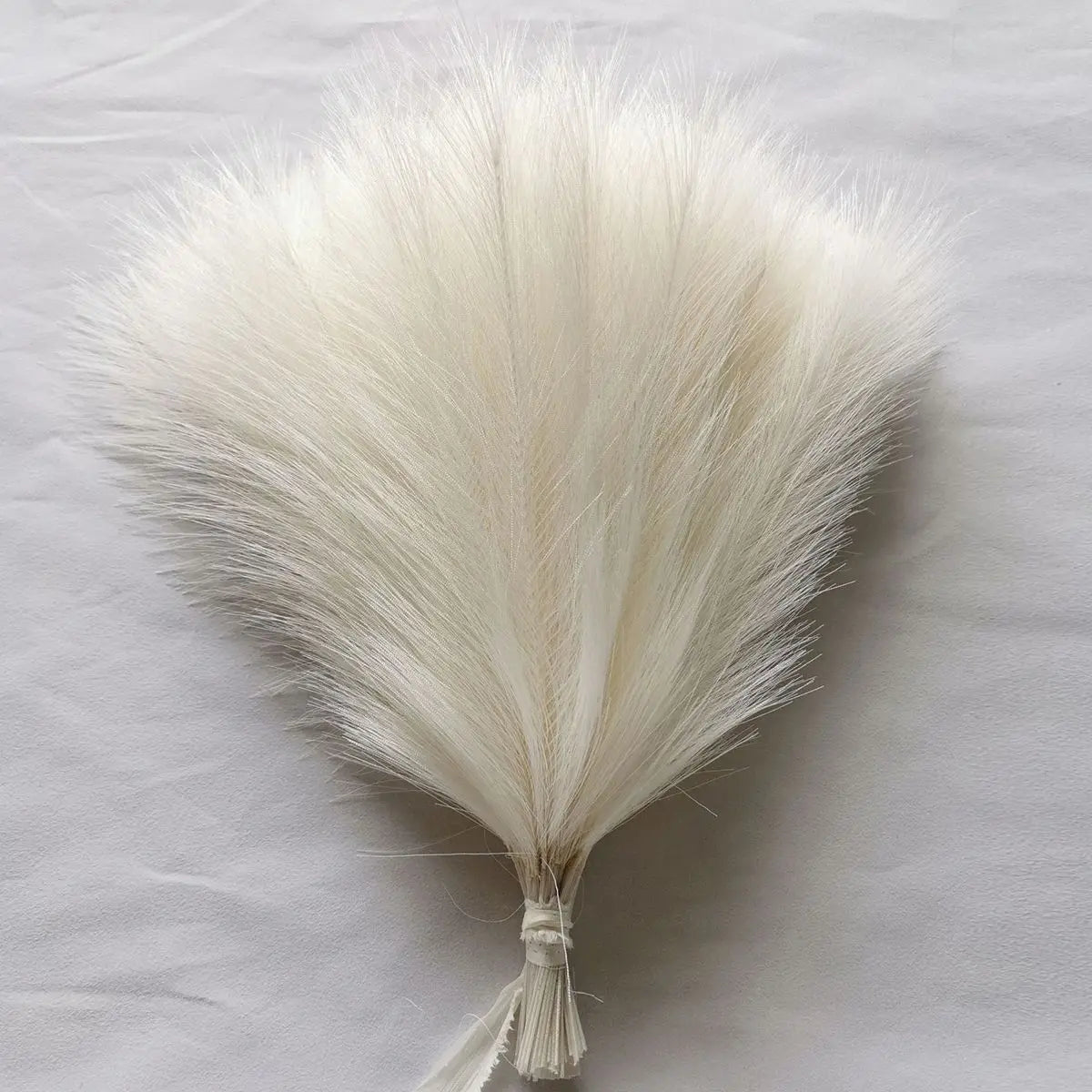 10/50pcs Pampas Grass Reed Plants color 4 Emma