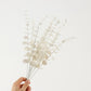 5pcs/lot Gold Eucalyptus Branch Stem White 5pcs Emma