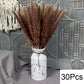 Natural Pampas Dried Flowers Bouquet N-30PCS Emma