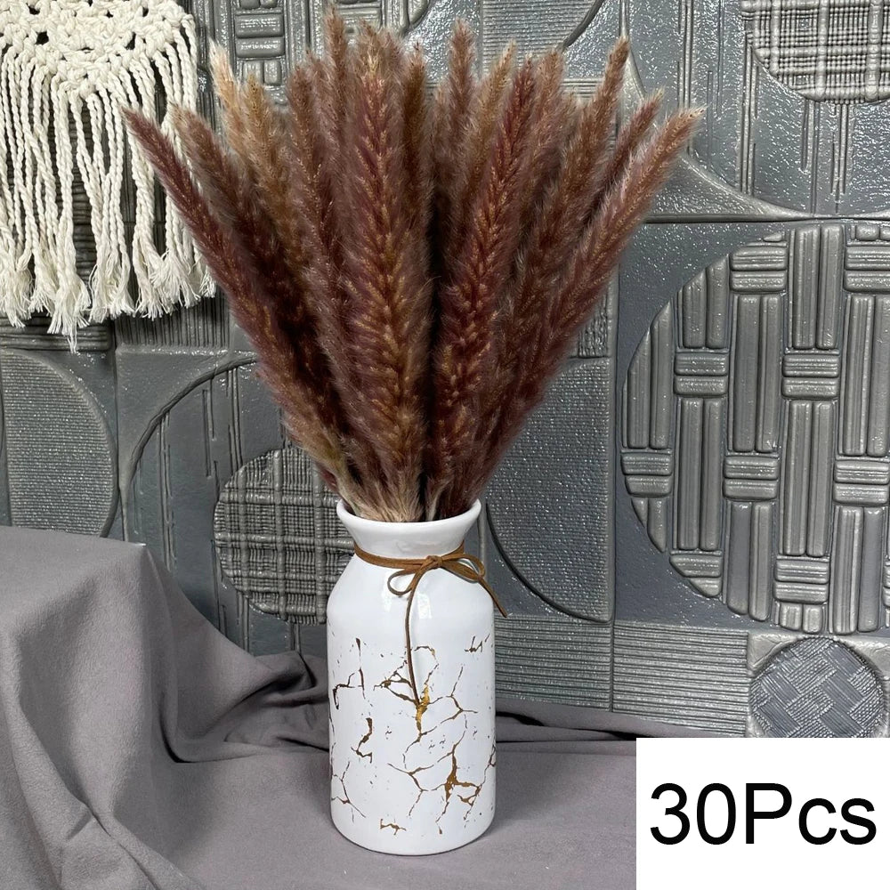 Natural Pampas Dried Flowers Bouquet N-30PCS Emma