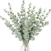 10-50pcs Eucalyptus Wall Hanging Decor Green Emma