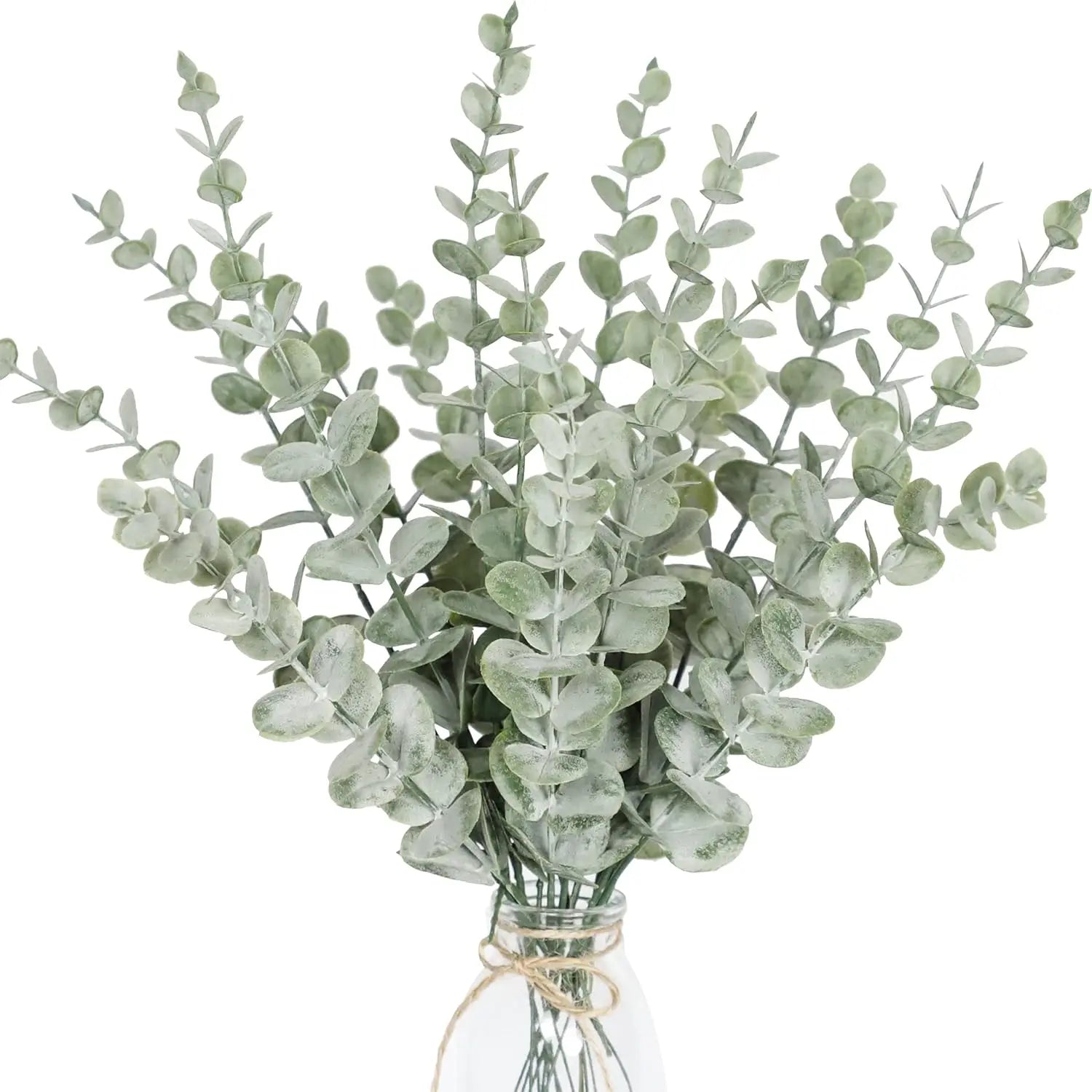 10-50pcs Eucalyptus Wall Hanging Decor Green Emma