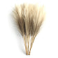 6pcs Pampas Grass Decor Flowers Light coffee 6PCS PACK Emma