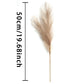 6pcs Pampas Grass Decor Flowers Emma