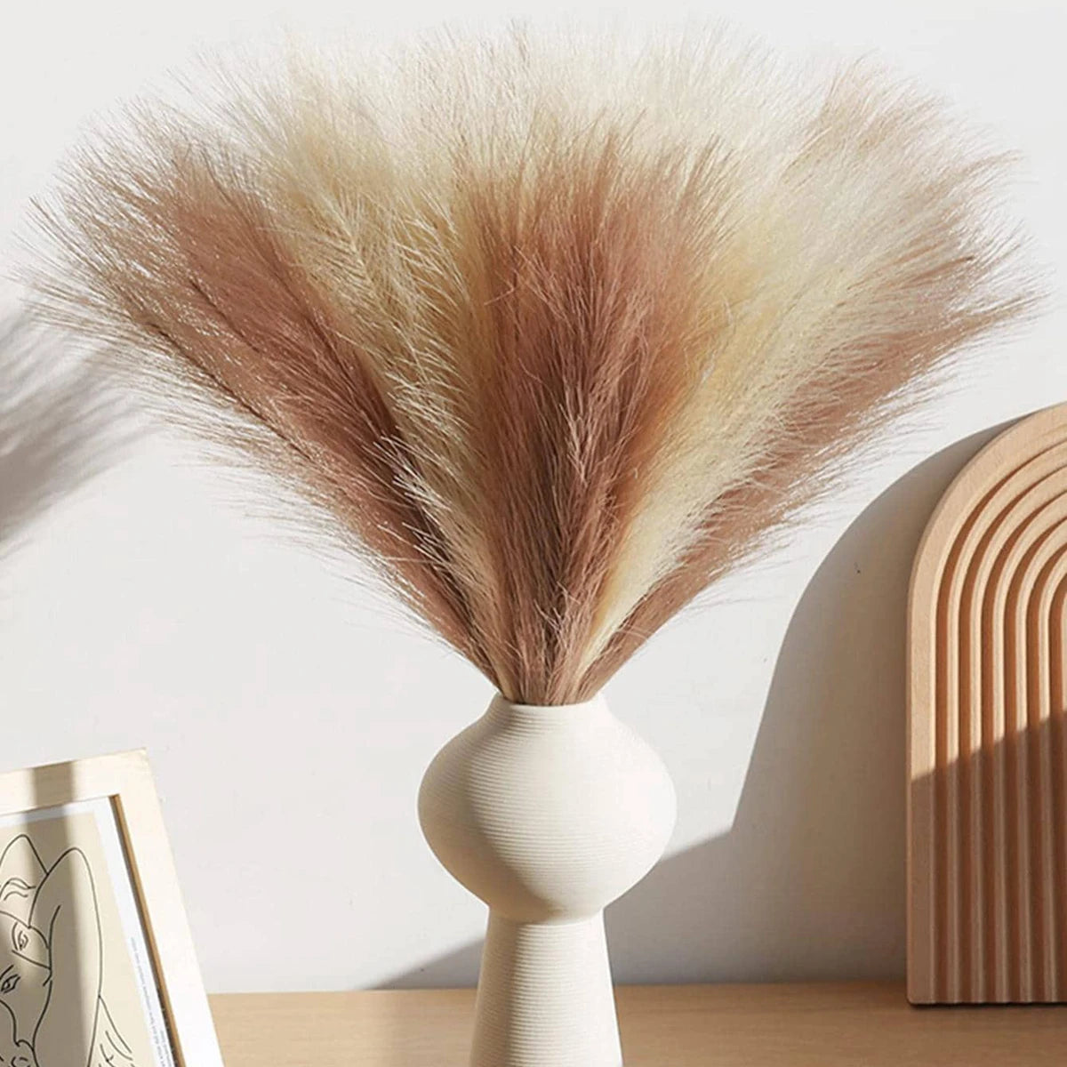 10/50pcs Pampas Grass Reed Plants Emma
