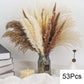 Natural Pampas Dried Flowers Bouquet G-53PCS Emma