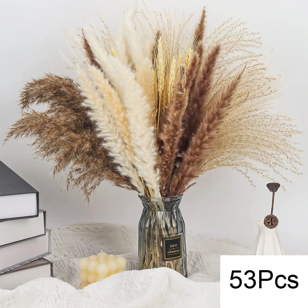 Natural Pampas Dried Flowers Bouquet G-53PCS Emma