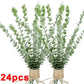 36/10pcs Eucalyptus Stems Green Leaves 24PCS-Light Green(A) Emma