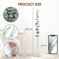 20pcs Eucalyptus Stems Leaves Green Emma