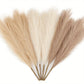 6pcs Pampas Grass Decor Flowers Emma