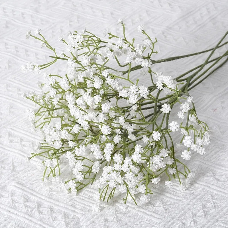 Gypsophila Flower Outdoor Garden Party Emma
