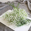 108 Head Flower Baby's Breath WHITE Emma